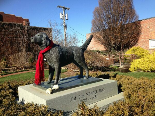 Jim The Wonder Dog Memorial Garden
